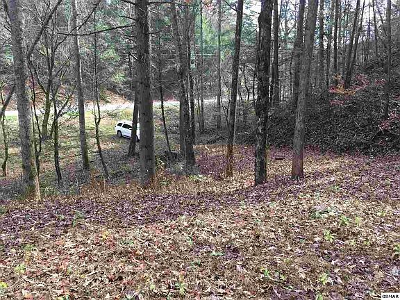 4th image of 0 Goose Gap Rd Lot 32