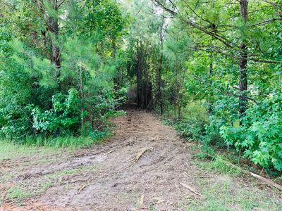 0 Tall Pine Dr, Wiggins, MS, 39577