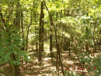 (Undisclosed Address), Russellville, AR, 72802