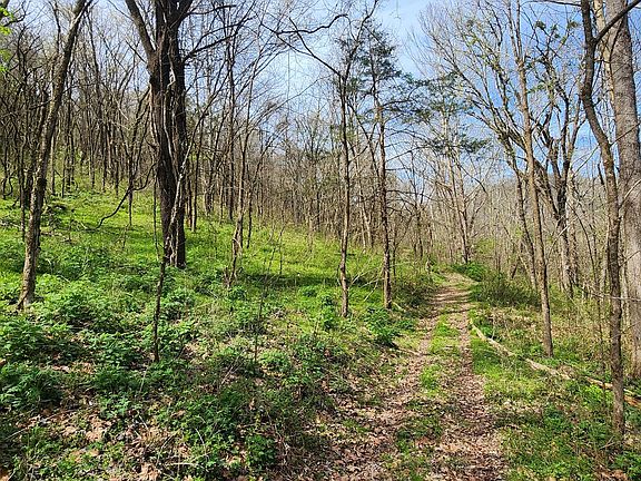 3rd image of 0 Chapman Hollow Rd