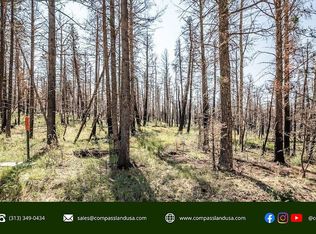 Reed Ln #1061, Fort Garland, CO 81133