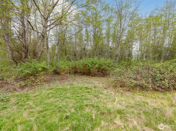 0 W Ault Field Road (Lot 1 & 2), Oak Harbor, WA 98277