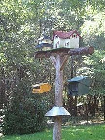 1st image of 235 River Chase Ln