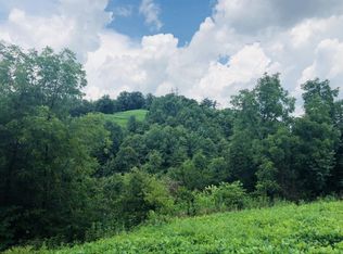 Tbd Lick Creek Rd, Watauga, TN 37694