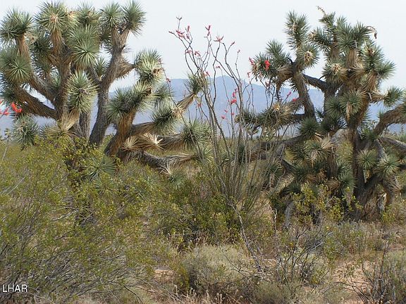 2nd image of 242-03 S Sundance Kid Rd #5