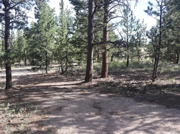 Singletree Road LOT 3, Buena Vista, CO 81211
