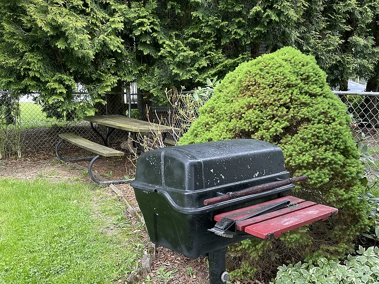 Gas grill and picnic table included