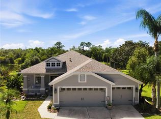 16817 HARRIERRIDGE PLACE, LITHIA, FL 33547