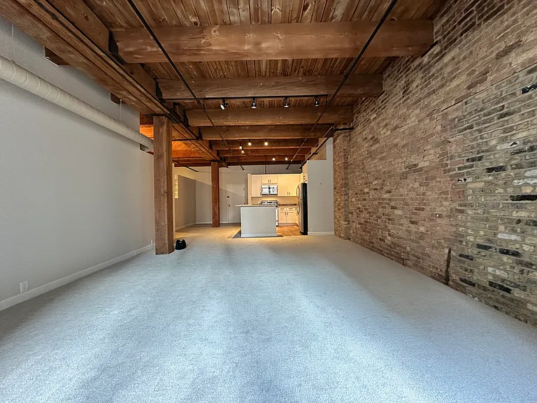 540 N Lake Shore Dr #518 — Photo 14