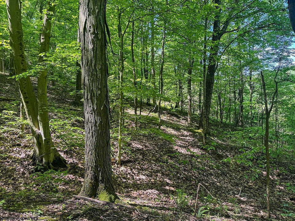 1st image of Rush Run Rd