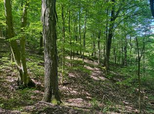 Rush Run Rd, Fairview, WV 26570