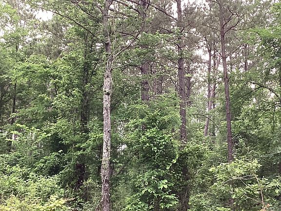 2nd image of 0 Highway 24 E
