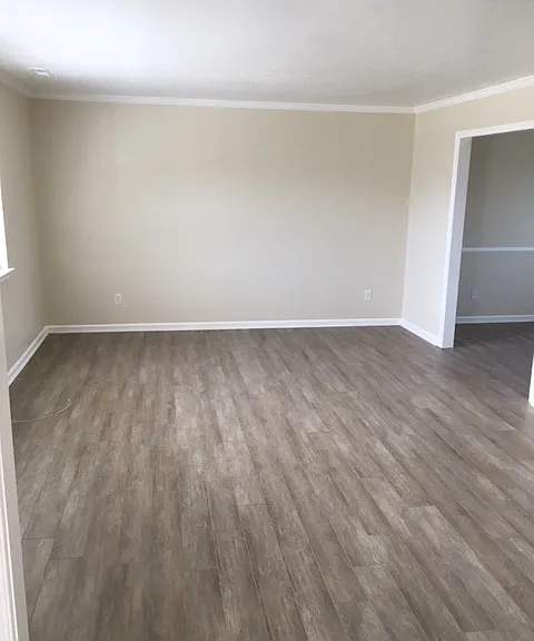 917 Timber Creek Pl — Photo 8