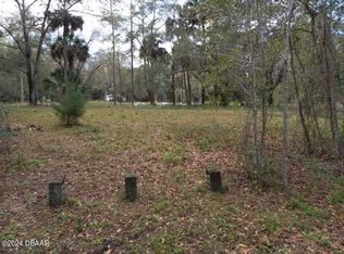 55239 3rd St, Astor, FL 32102