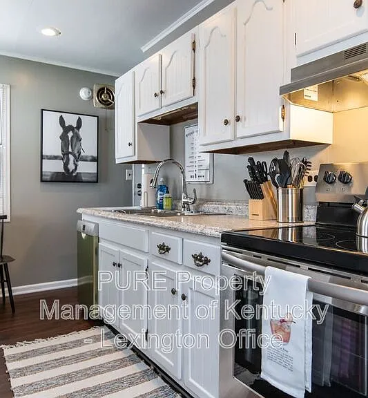 317 Mockingbird Ln — Photo 8