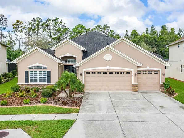 3247 Diamond Falls Cir, Land O Lakes, FL 34638