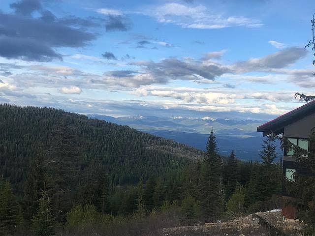 View from Livingroom