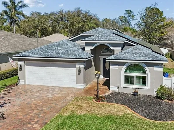 3301 Black Gum Ct, Tampa, FL 33618