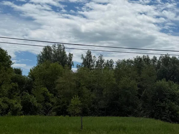 0 E Town Line Rd, Pickford, MI 49774