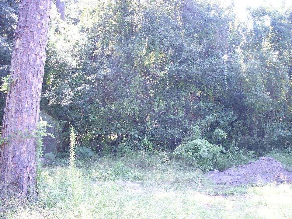 Wooded lot