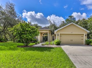 10322 Noddy Tern Rd, Weeki Wachee, FL 34613