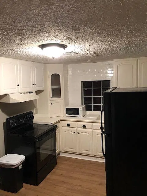 2 bed, 1000 sqft, $2,900 — Photo 3