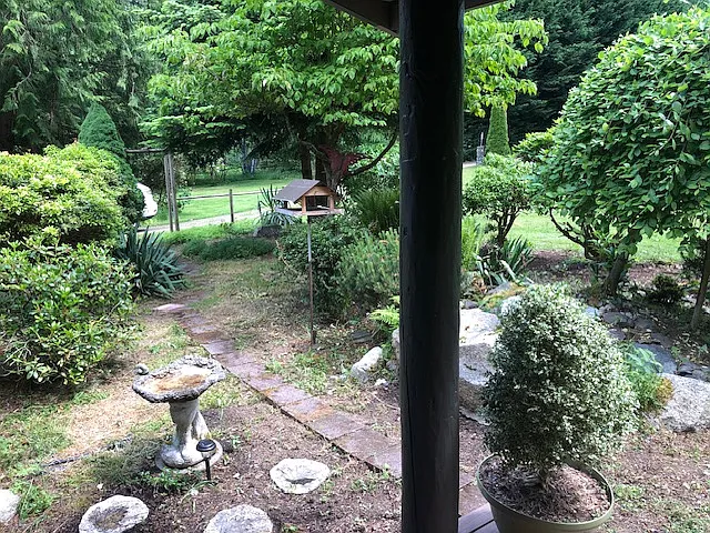 front yard