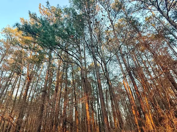 121B Sunset Dr, Eatonton, GA 31024