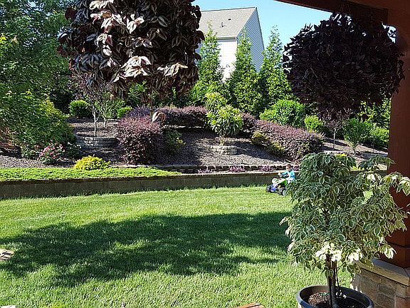 3rd image of 403 Alliance Cir