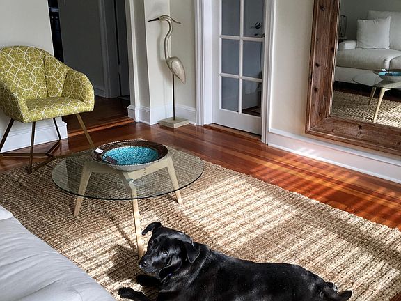 Dog not included, sorry.