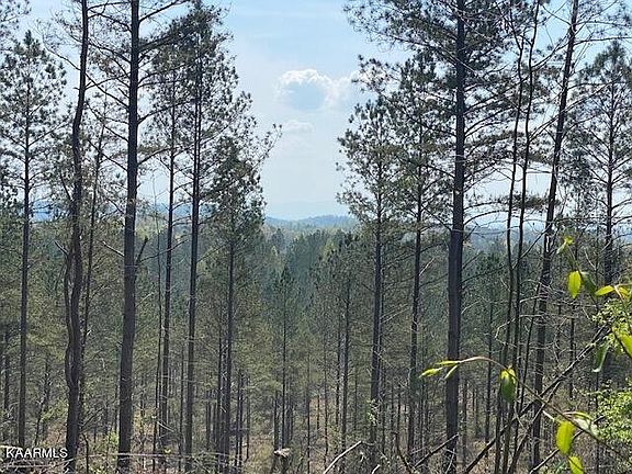 2nd image of 5 County Road 351