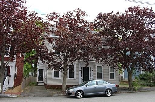 1st image of 33 Bromfield St #35