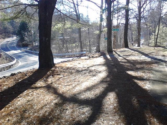 View from kitchen window. Lake 100' away.