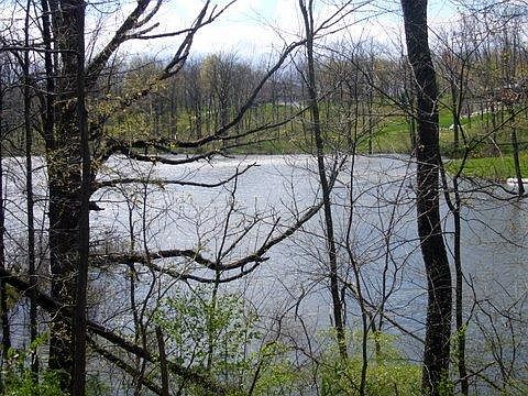 3rd image of 2934 Wood Duck Ln SE