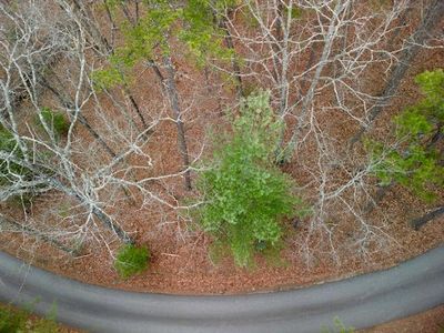 0 Bruce Mountain Rd, Morganton, GA, 30560