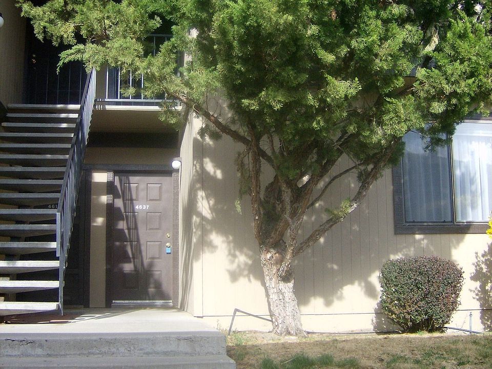 Donner Creek Village