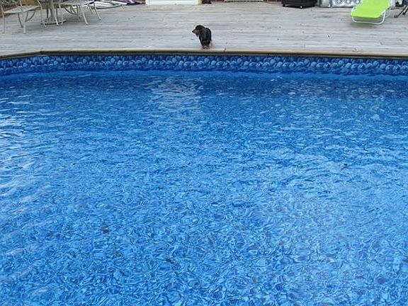 Above ground pool