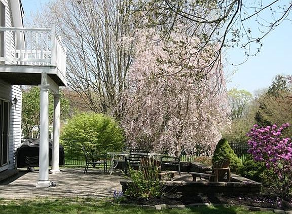 Side view of rear patio and balcony.