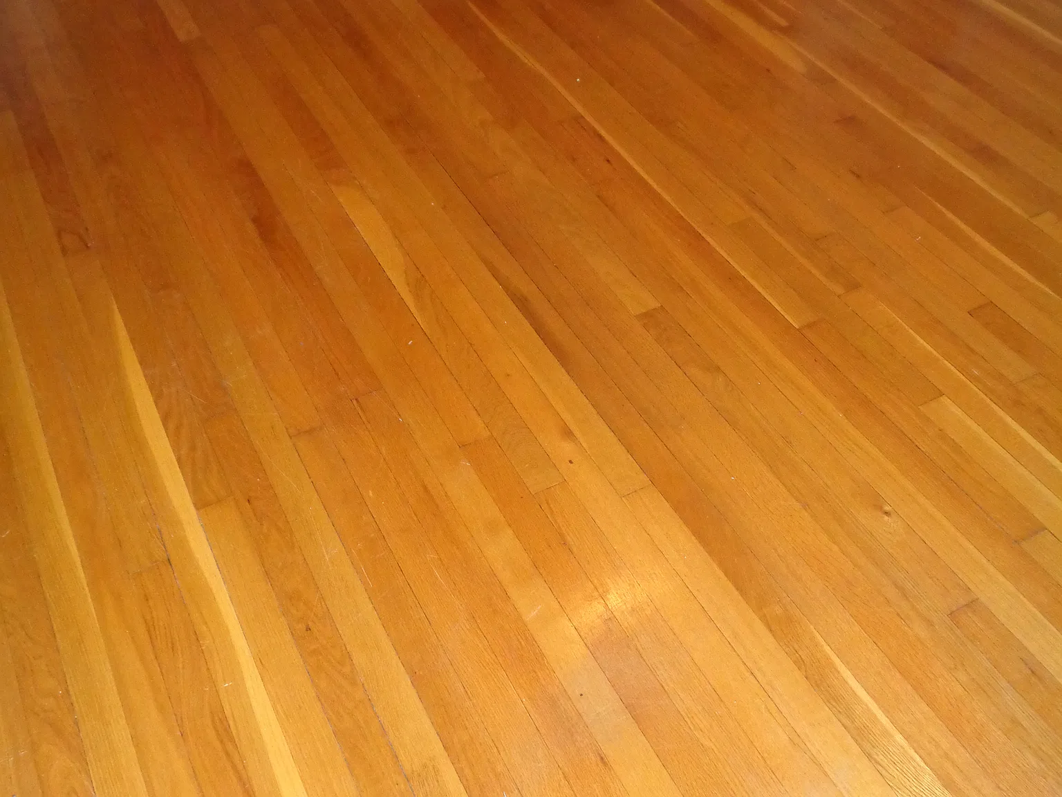 1 bed, 1107 sqft, $1,495 — Photo 2
