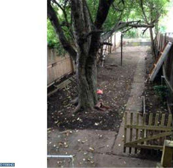 2nd image of 619 Lancaster Ave