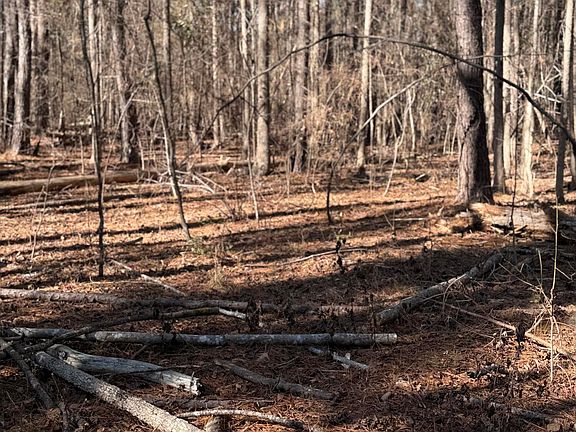 5th image of 3075 Wilfred Dr