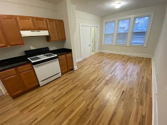 4th image of 1066 N Paulina St APT 1F