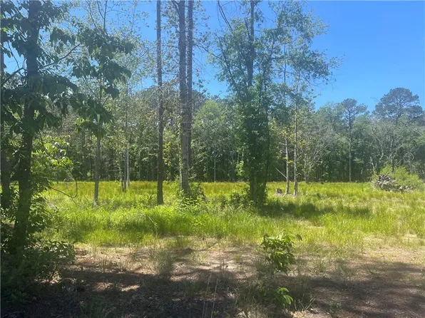 50165 Spirit Of The Forest Frst, Folsom, LA 70437