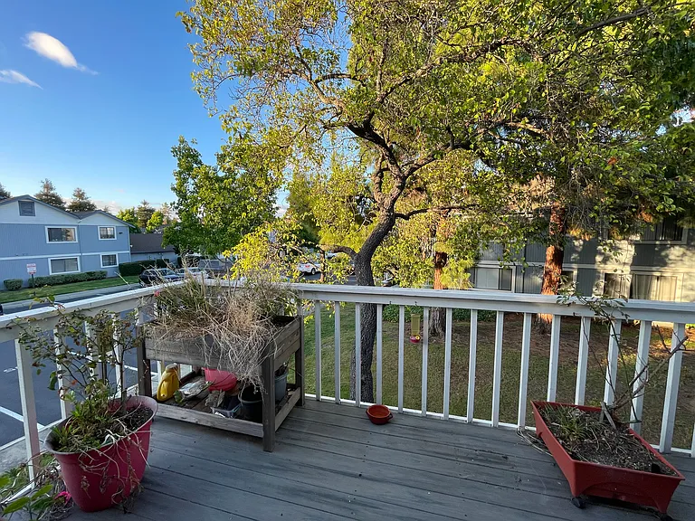 5015 Shalimar Cir — Photo 31