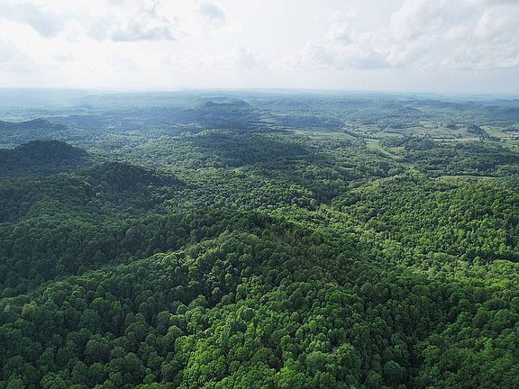 5th image of 1 Hill Ridge Rd