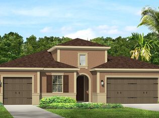 31897 Bourneville Ter, Wesley Chapel, FL 33543