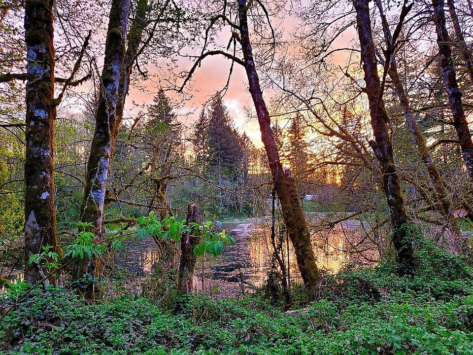 40217 NE 142nd Ave, Amboy, WA 98601 Zillow