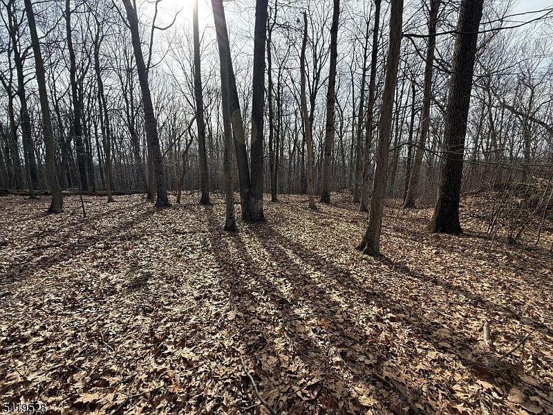 1st image of 164 North Rd