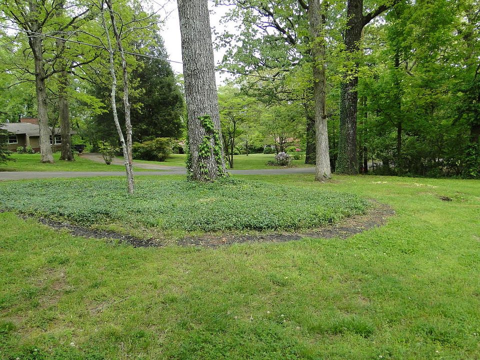 2nd image of 119 Dogwood Dr