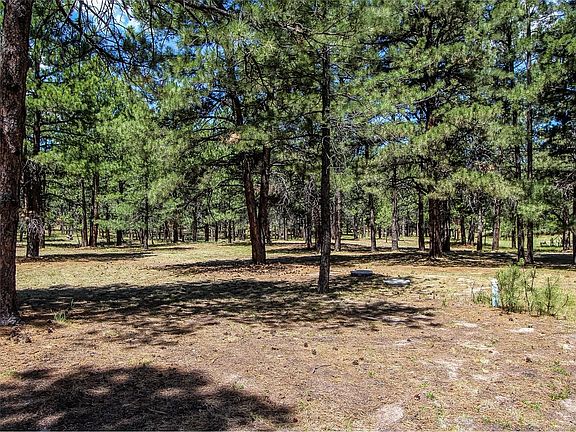 2nd image of 34693 Forest Park Dr